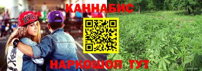 гидропоника Берёзовский